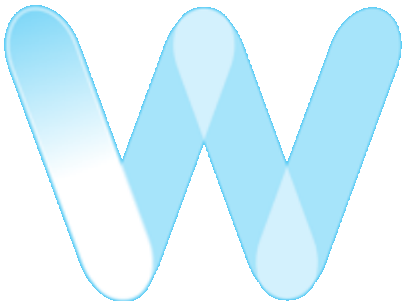 Winiksoft Logo